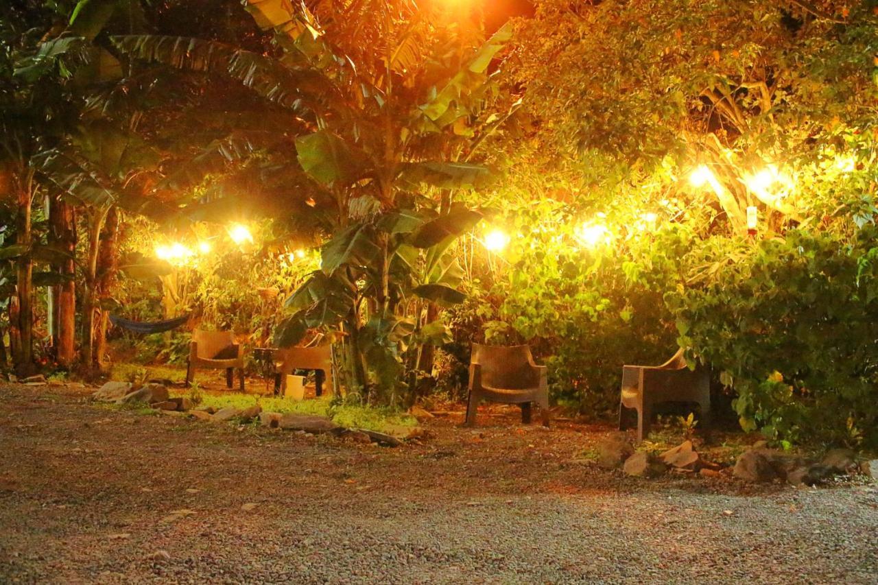 Casa Jungle Monteverde B&B Экстерьер фото
