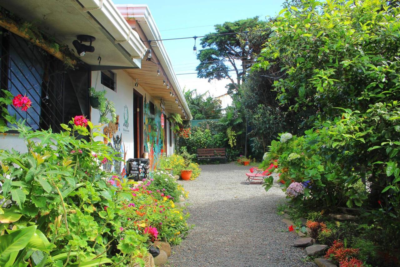 Casa Jungle Monteverde B&B Экстерьер фото